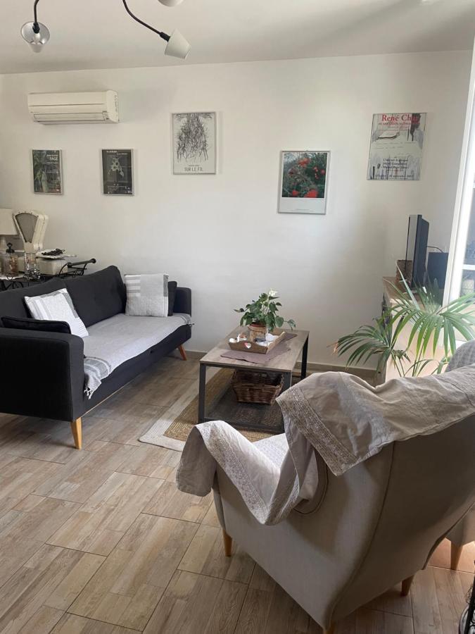 Appartement Avec Jardin En Ville LʼIsle-sur-la-Sorgue Exterior foto